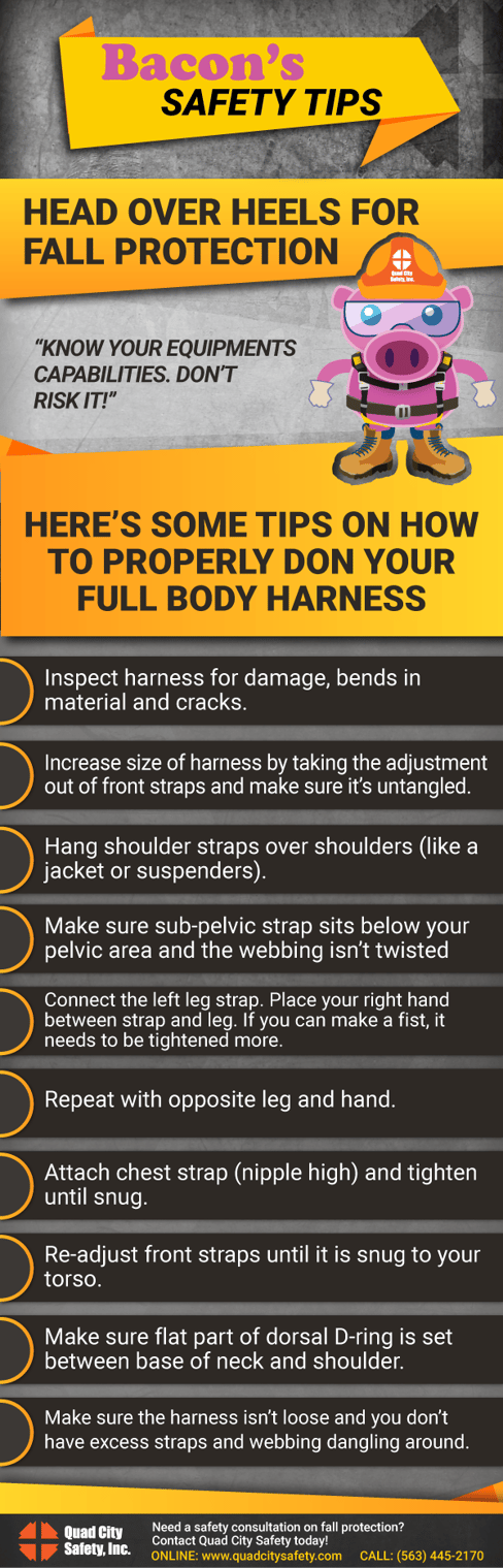 Bacon_Safety_Tips_C3_Harness-V2.png